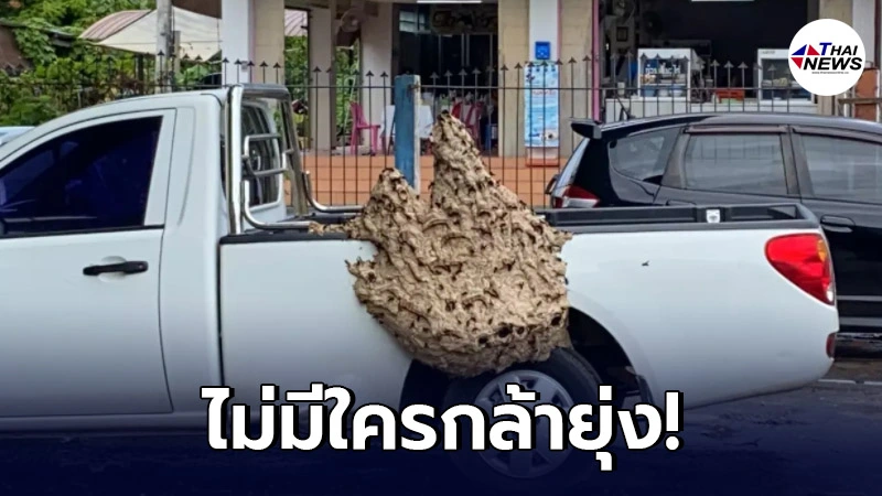 "ต่อหัวเสือ" ยึดรถกระบะทำรัง นานกว่า 3 เดือน เจ้าของอู่ ลั่น! ไม่กล้ายุ่ง