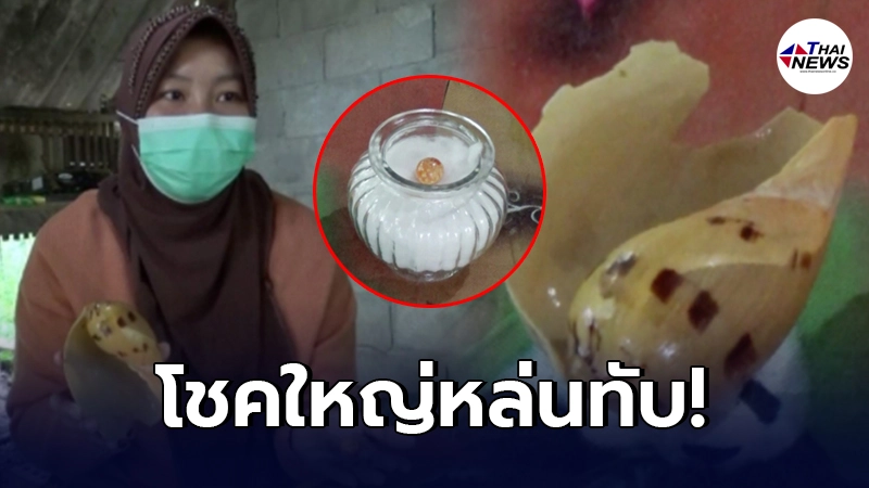 สาวดวงเฮง สั่งหอยโข่งทะเล ให้แกร็บมาส่ง เจอไข่มุกเมโล เม็ดใหญ่เท่าลูกแก้ว สาวดวงเฮง สั่งหอยโข่งทะเล ให้แกร็บมาส่ง เจอไข่มุกเมโล เม็ดใหญ่เท่าลูกแก้ว