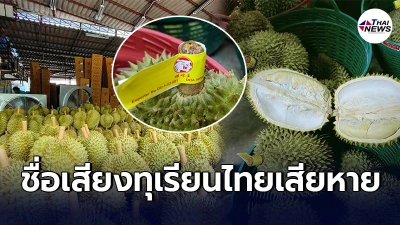 เเฉพฤติกรรมขบวนการนำเข้าทุเรียนเวียดนาม กก.ละ70 สวมสิทธิ์ทุเรียนจันท์