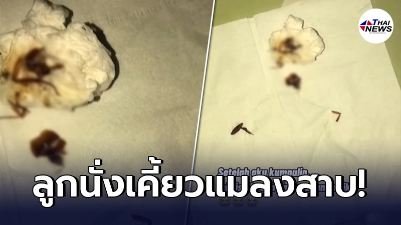 แม่ลมแทบจับ มัวเล่นมือถือ ลูกน้อยคว้าแมลงสาบเข้าปาก เห็นอีกทีเหลือแต่ขา แม่ลมแทบจับ มัวเล่นมือถือ ลูกน้อยคว้าแมลงสาบเข้าปาก เห็นอีกทีเหลือแต่ขา
