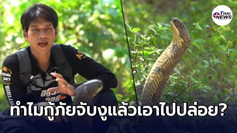 หนุ่มเปิดใจตอบคำถาม"พวกกู้ภัยจับงูแล้วเอาไปปล่อย ทำไมไม่ทำร้าย" หนุ่มเปิดใจตอบคำถาม"พวกกู้ภัยจับงูแล้วเอาไปปล่อย ทำไมไม่ทำร้าย"