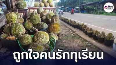 เปิดพิกัดทุเรียนป่าพื้นเมือง ตะกร้าเพียง 200 บ. ได้ถึง 5 ลูกเลยทีเดียว