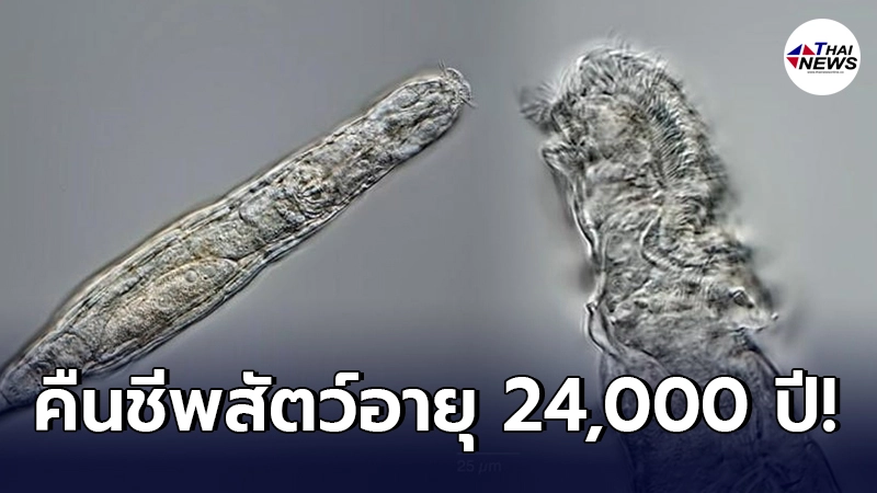 นักวิทย์ฯ คืนชีพสัตว์ขนาดเล็กที่สุดในโลก อายุ 24,000 ปี สำเร็จเป็นครั้งแรก นักวิทย์ฯ คืนชีพสัตว์ขนาดเล็กที่สุดในโลก อายุ 24,000 ปี สำเร็จเป็นครั้งแรก