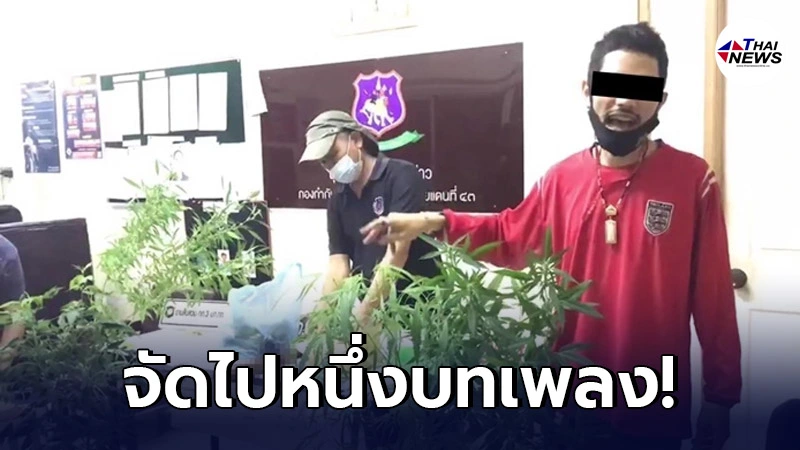 บุกจับ! หนุ่มค้ากัญชา เกิดอาการดีดจัด ร้องแรปโชว์ตำรวจซะเลย บุกจับ! หนุ่มค้ากัญชา เกิดอาการดีดจัด ร้องแรปโชว์ตำรวจซะเลย