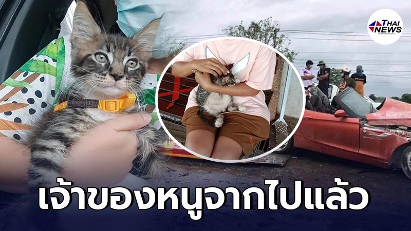 กู้ภัยส่งตัวแมวรถสวิฟต์คืนให้ญาติ หลังเจ้าของถูก BMW ซิ่งชนเสียชีวิต กู้ภัยส่งตัวแมวรถสวิฟต์คืนให้ญาติ หลังเจ้าของถูก BMW ซิ่งชนเสียชีวิต