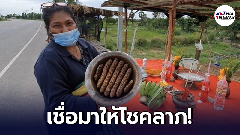 สุดฮือฮา "ผึ้ง" ทำรังใน "ครก" เจ้าของเผยเข้าฝันขออยู่ด้วย สุดฮือฮา "ผึ้ง" ทำรังใน "ครก" เจ้าของเผยเข้าฝันขออยู่ด้วย