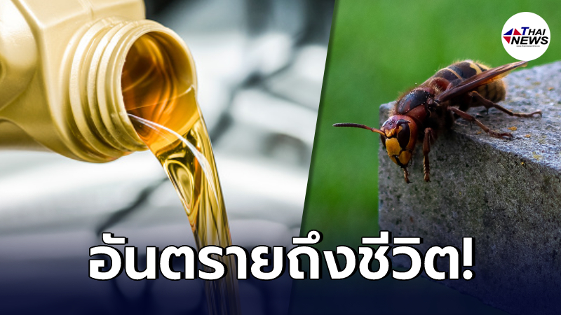 เตือนอย่าหาทำ ถอนพิษจากแมลงกัดต่อยด้วย "น้ำมันเบนซิน" อันตรายกว่าที่คิด เตือนอย่าหาทำ ถอนพิษจากแมลงกัดต่อยด้วย "น้ำมันเบนซิน" อันตรายกว่าที่คิด