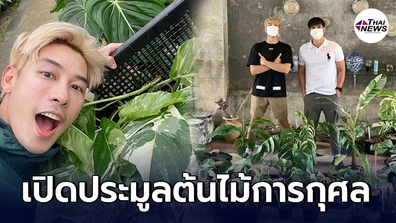 เคน ภูภูมิ เปิดประมูลต้นไม้ วันเดียว 8 แสน สมทบเป็น 1 ล้าน นำเงินบริจาค รพ.