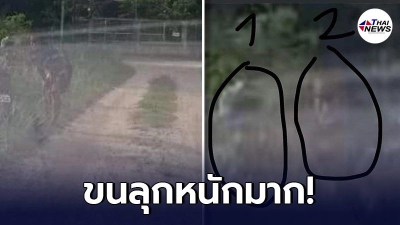 หนุ่มขนลุก ถ่ายรูปส่งให้เพื่อน พิกัดใกล้สุสาน ติดเงาปริศนา ยืนจ้องตาเขม็ง หนุ่มขนลุก ถ่ายรูปส่งให้เพื่อน พิกัดใกล้สุสาน ติดเงาปริศนา ยืนจ้องตาเขม็ง