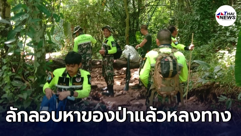 ภารกิจจนท.พิทักษ์ป่าค้นหาผู้สูญหายลักลอบเก็บของป่าแล้วหลงทาง ภารกิจจนท.พิทักษ์ป่าค้นหาผู้สูญหายลักลอบเก็บของป่าแล้วหลงทาง