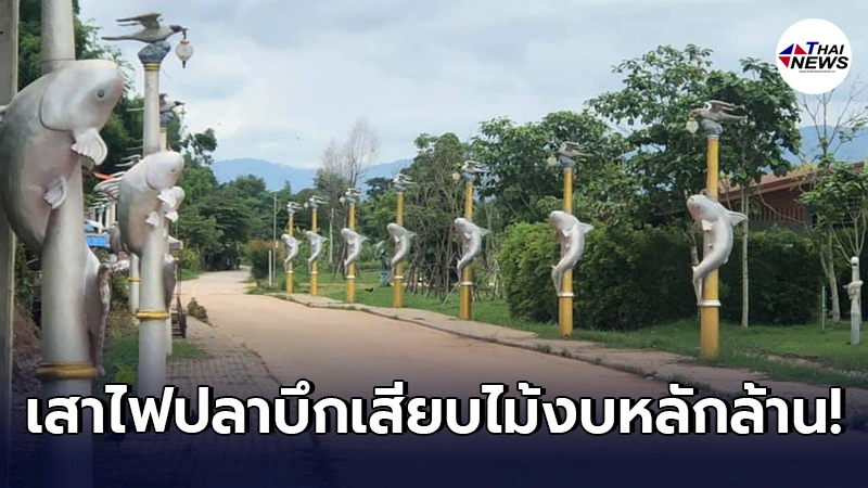 โผล่อีก เสาไฟปลาบึกเสียบไม้ที่เชียงราย 22 ต้น งบประมาณหลักล้าน