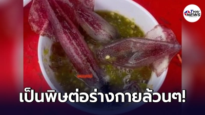 เตือนคนไทย หยุดจับปลาหมึกสดมากิน ก่อนต้องเผชิญอาการผิดสำแดง