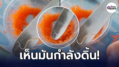 สาวสั่ง "ไข่กุ้ง" ผ่านทางออนไลน์ กินไปแล้ว 1 กระปุก ตกดึกเริ่มผิดสำแดง