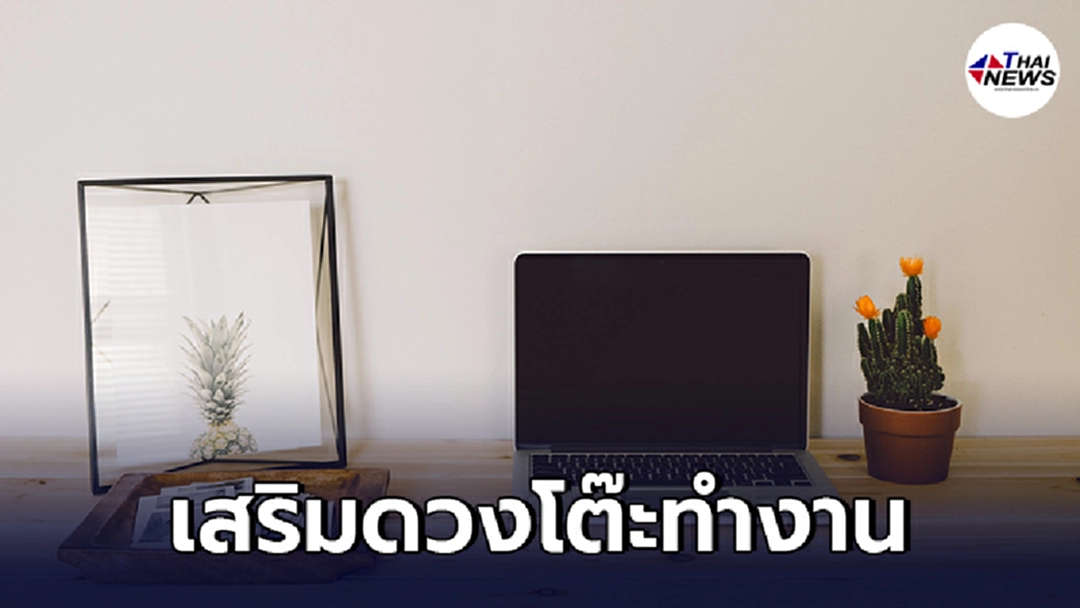 5 ต้นไม้ ประดับโต๊ะทำงาน ช่วยเสริมดวง เพิ่มความเป็นสิริมงคล