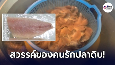 นักวิจัยพัฒนาเครื่องมือ ปราบพยาธิ ในเนื้อปลาทะเล คุณภาพเปรียบดั่งสดใหม่ นักวิจัยพัฒนาเครื่องมือ ปราบพยาธิ ในเนื้อปลาทะเล คุณภาพเปรียบดั่งสดใหม่