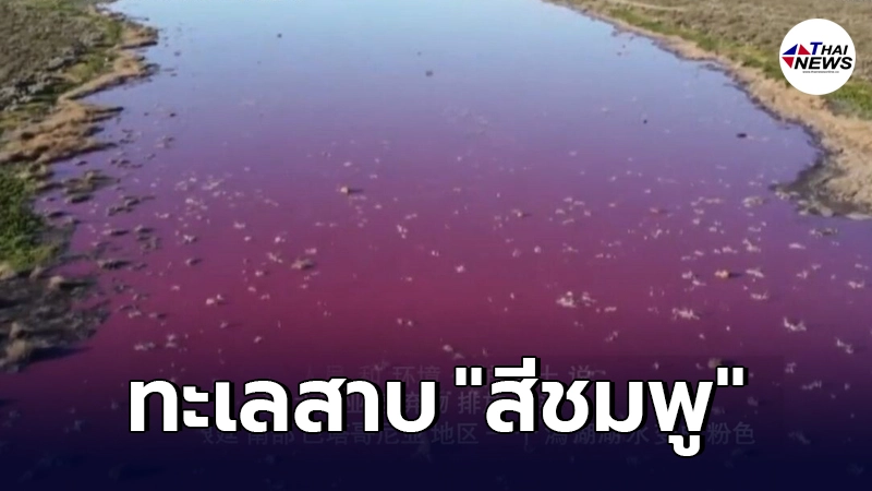 ทะเลสาบในอาร์เจนตินา น้ำที่เคยสดใส กลายเป็น "สีชมพู" สุดสะพรึง