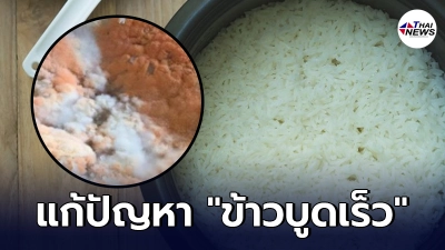 เผยทริค เคล็ดลับวิธีแก้ปัญหาข้าวบูดเร็ว ฆ่าเชื้อแบคทีเรียในหม้อหุงข้าว