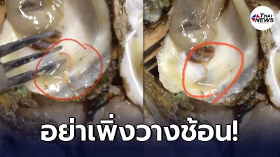 เฉลยแล้ว! เส้นสีเหลืองที่ซ่อนอยู่ใน "หอยนางรม" มีผลเสียต่อร่างกายหรือไม่