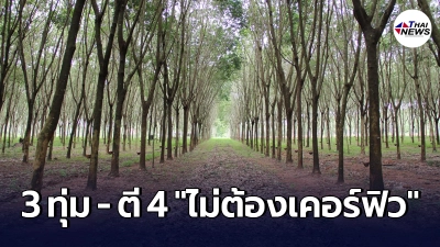 ชาวสวนยางเฮ ไฟเขียวไม่ต้องเคอร์ฟิว 3 ทุ่ม - ตี 4 ออกนอกบ้านได้ตามปกติ