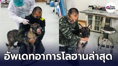 อัพเดทอาการล่าสุดเจ้า "โลฮาน" สุนัขทหาร หลังโดนคนร้ายยิงบาดเจ็บ อัพเดทอาการล่าสุดเจ้า "โลฮาน" สุนัขทหาร หลังโดนคนร้ายยิงบาดเจ็บ