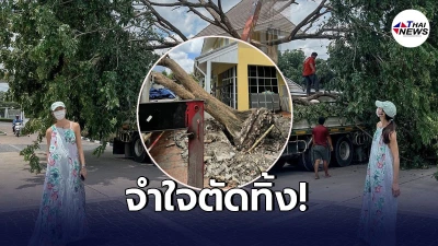 แพนเค้ก เขมนิจ ตัดสินใจตัดต้นดอกประดู่ที่อยู่มาด้วยกันเกือบ 20 ปี