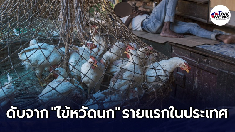 เด็กชายวัย 11 ปี สิ้นใจจาก "ไข้หวัดนก" รายแรกของปี ในอินเดีย เด็กชายวัย 11 ปี สิ้นใจจาก "ไข้หวัดนก" รายแรกของปี ในอินเดีย