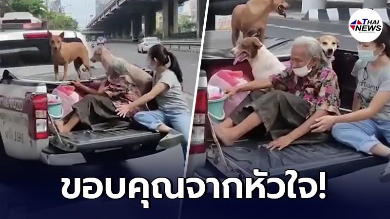 แห่ชื่นชม ตำรวจใจดี พาคุณยายกับสุนัข 3 ตัว ขึ้นรถกลับบ้าน หลังมีอาการหลงลืม แห่ชื่นชม ตำรวจใจดี พาคุณยายกับสุนัข 3 ตัว ขึ้นรถกลับบ้าน หลังมีอาการหลงลืม