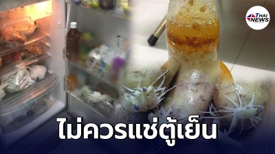 เผยอาหาร 12 ชนิดที่ไม่ควรแช่ตู้เย็น อาจทำให้เสีย และไม่สดใหม่ได้