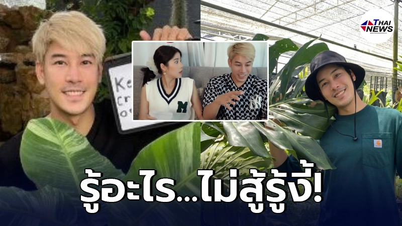 เคน ภูภูมิ - เอสเธอร์ เผยเคล็ดลับเกร็งกำไรจากต้นไม้ฟอกอากาศ เคน ภูภูมิ - เอสเธอร์ เผยเคล็ดลับเกร็งกำไรจากต้นไม้ฟอกอากาศ