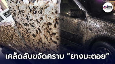 เคล็ดลับขจัดคราบยางมะตอย แบบง่ายๆ ไม่ต้องเสียเงินเยอะ ด้วยตัวเอง