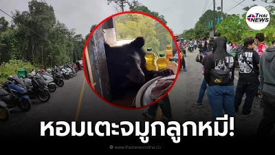 คนแห่เที่ยวเขาใหญ่ ต่อคิวยาว รอกินไข่เจียวผาตรอมใจ หลังลูกหมีบุกถึงร้าน