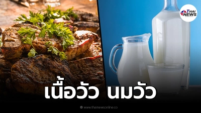 เนื้อวัว นมวัว กินได้ปลอดภัย ไม่ทำให้เลือดเป็นกรด ไม่กระตุ้นเชื้อโควิด