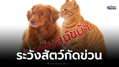 อย่าชะล่าใจ เตือนระวังถูกสัตว์กัดข่วน เสี่ยงโรคพิษสุนัขบ้า