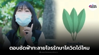 จากปากหมอ"ฟ้าทะลายโจร"รักษา-ป้องกัน โควิด-19 ได้จริงหรือไม่
