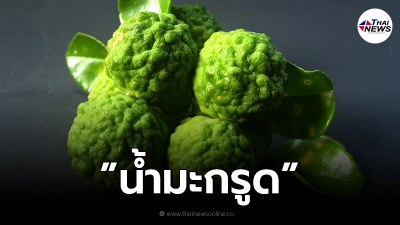ไขข้อสงสัย "น้ำมะกรูด" ลดอาการผมร่วง แก้หัวล้านได้ จริงหรือ