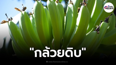 ชัวร์ก่อนแชร์ "กล้วยดิบ" แก้กรดไหลย้อนได้จริงหรือ