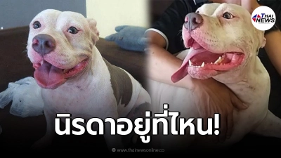 ด่วน นิรดา พิตบูลขวัญใจชาวเน็ต อดีตลูกสาวแม่เค้ก ถูกลักพาตัวไป