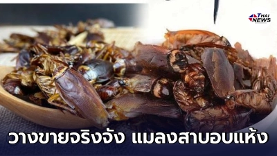 ชาวเน็ตตกใจ เว็บจีนมี แมลงสาบอบแห้ง ให้ช็อปปิ้ง บอกของดีกินได้