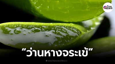 10 สรรพคุณ "ว่านหางจระเข้" มีประโยชน์ต่อสุขภาพ และความงาม 10 สรรพคุณ "ว่านหางจระเข้" มีประโยชน์ต่อสุขภาพ และความงาม