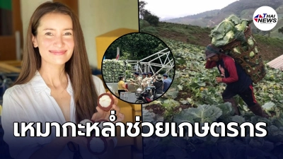ทนไม่ได้  แอน ทองประสม บุกช่วยเกษตรกร  เหมาซื้อ กะหล่ำ 6,900 โล บนดอยแจกชาวบ้าน