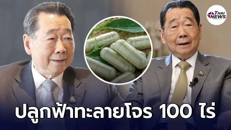 เจ้าสัวซีพี ผุดไอเดีย ปลูกฟ้าทะลายโจร 100 ไร่ เตรียมแจกให้คนไทยทั่วประเทศ เจ้าสัวซีพี ผุดไอเดีย ปลูกฟ้าทะลายโจร 100 ไร่ เตรียมแจกให้คนไทยทั่วประเทศ