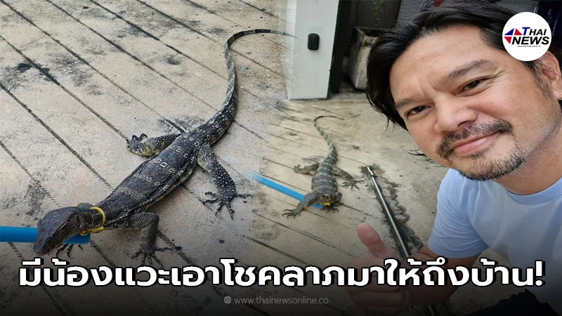 ตัวเงินตัวทอง เข้าบ้าน เต๋า สมชาย แต่พระเอกดังจับได้ เชื่อน้องมาให้โชคลาภ ตัวเงินตัวทอง เข้าบ้าน เต๋า สมชาย แต่พระเอกดังจับได้ เชื่อน้องมาให้โชคลาภ
