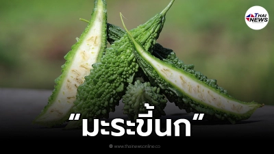 ไขข้อข้องใจ หลังมีข่าวลือ มะระขี้นกช่วยรักษาเบาหวานได้
