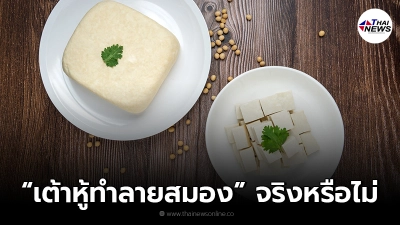 ไขข้อข้องใจ "กินเต้าหู้ถั่วเหลือง" ทำลายสมองจริงหรือไม่!?
