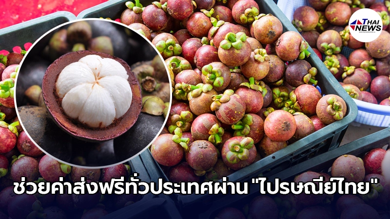 พาณิชย์ฯ เร่งแก้ปัญหาราคา "มังคุด" ตกต่ำ ช่วยค่าส่งฟรีทั่วประเทศ พาณิชย์ฯ เร่งแก้ปัญหาราคา "มังคุด" ตกต่ำ ช่วยค่าส่งฟรีทั่วประเทศ