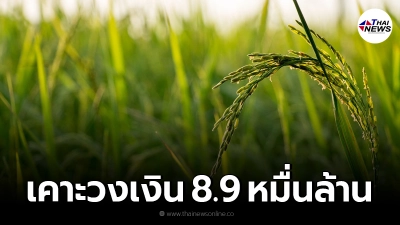 นบข.เคาะวงเงินประกันรายได้ชาวนา 8.9 หมื่นล้าน ครอบคลุม 4.69 ล้านครัวเรือน