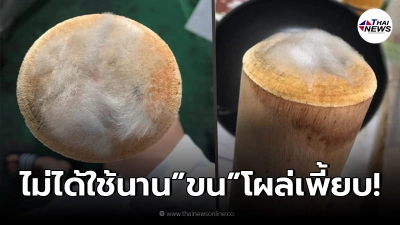สาว ไม่ได้ใช้งาน "สากกะเบือ" มาพักใหญ่ ตัดสินใจหยิบออกมา เจอ "ขน" โผล่ที่ด้าม