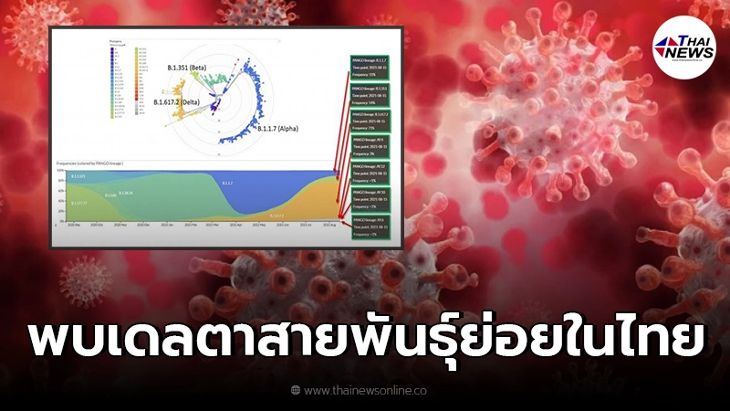 ศูนย์จีโนมฯ รพ.รามา ระบุพบ "เดลตาสายพันธุ์ย่อย" ในประเทศไทย ศูนย์จีโนมฯ รพ.รามา ระบุพบ "เดลตาสายพันธุ์ย่อย" ในประเทศไทย