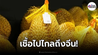 พบเชื้อโควิด-19 บนกล่องทุเรียน นำเข้าจากไทยในประเทศจีน