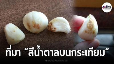 อ.เจษฎ์ ตอบแล้ว "สีน้ำตาลบนกระเทียม" หลังถูกโยงเป็นสารก่อมะเร็ง